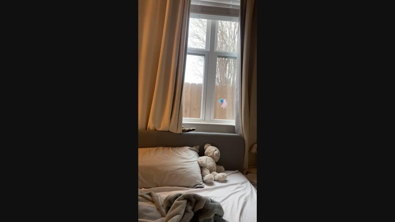 Pancake Loves His New Sweater